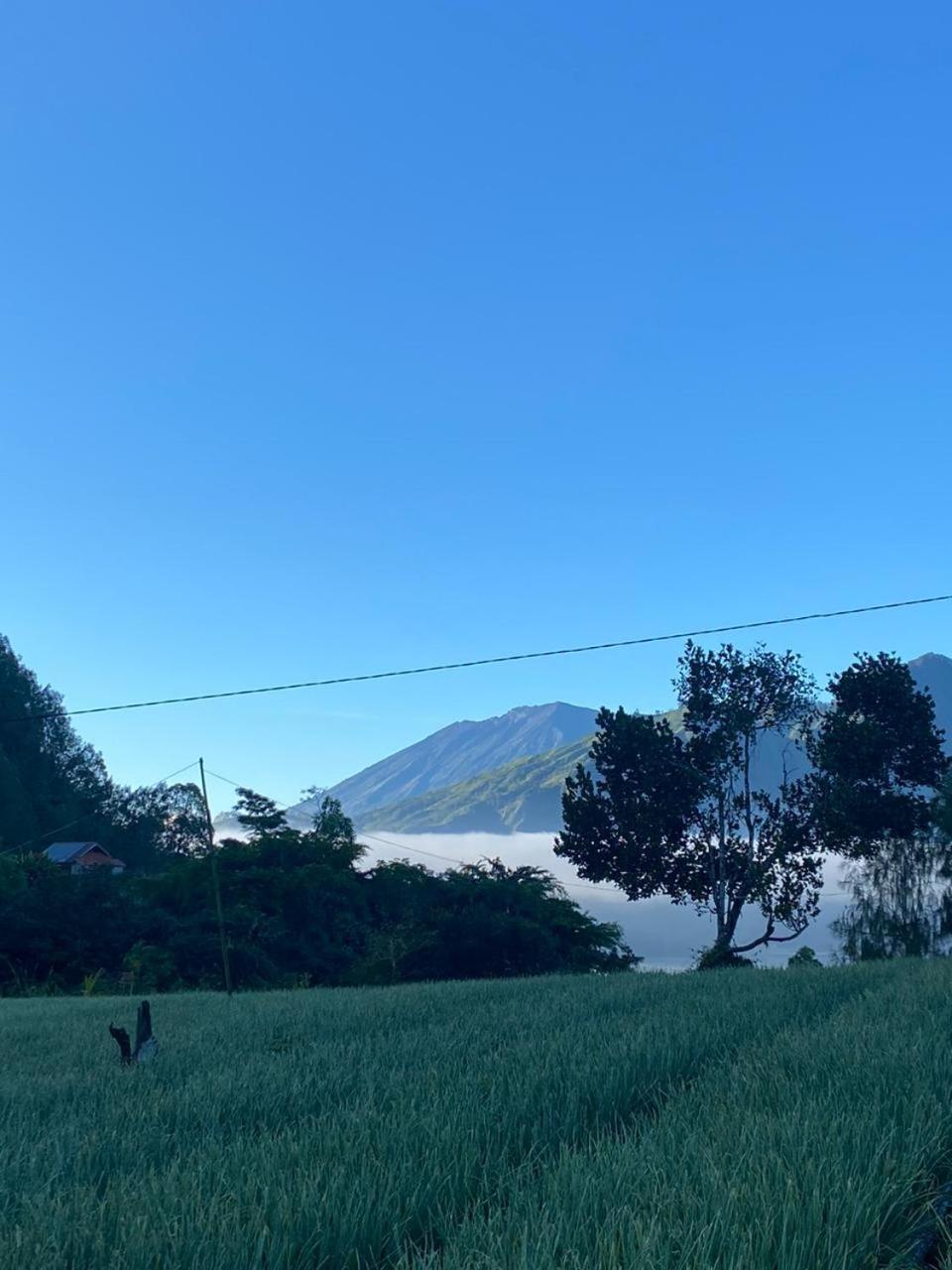 Pondok Bali Volcano 쿠부펜로칸 외부 사진